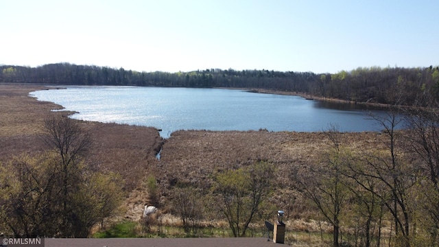 32598 Pioneer Ave, Aitkin, MN 56431 - water view with a forest