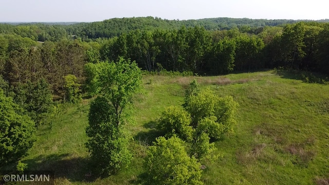 32598 Pioneer Ave, Aitkin, MN 56431 - bird's eye view of a heavily wooded area
