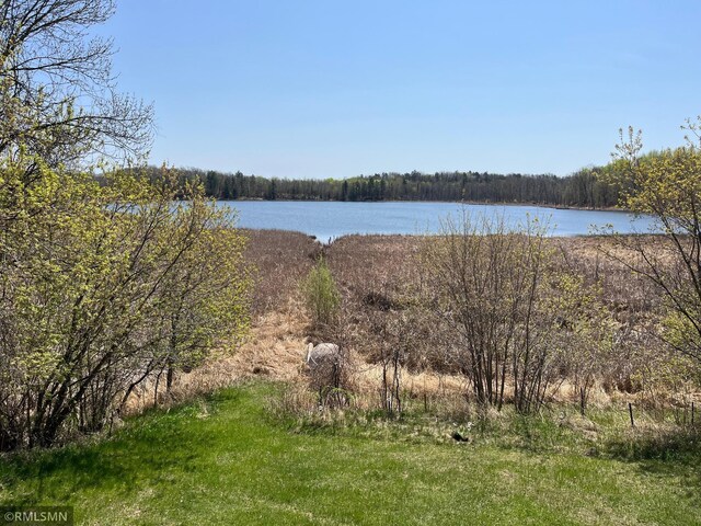 32598 Pioneer Ave, Aitkin, MN 56431 - photo 45