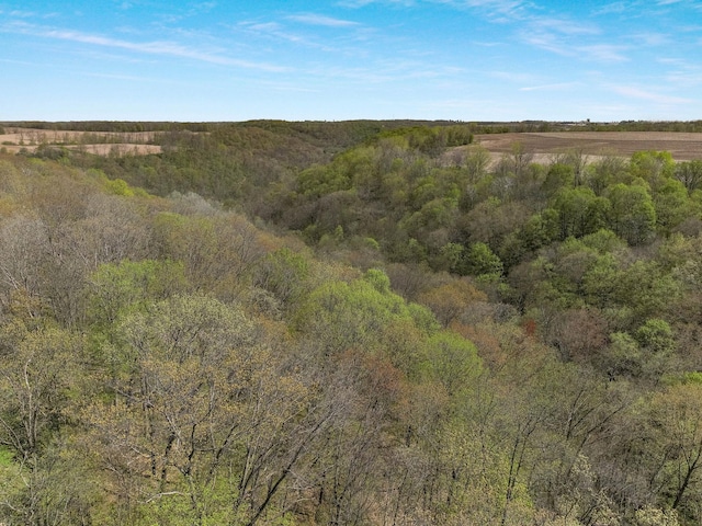 N5502 90th St, Rock Elm Twp, WI 54740 - photo 20