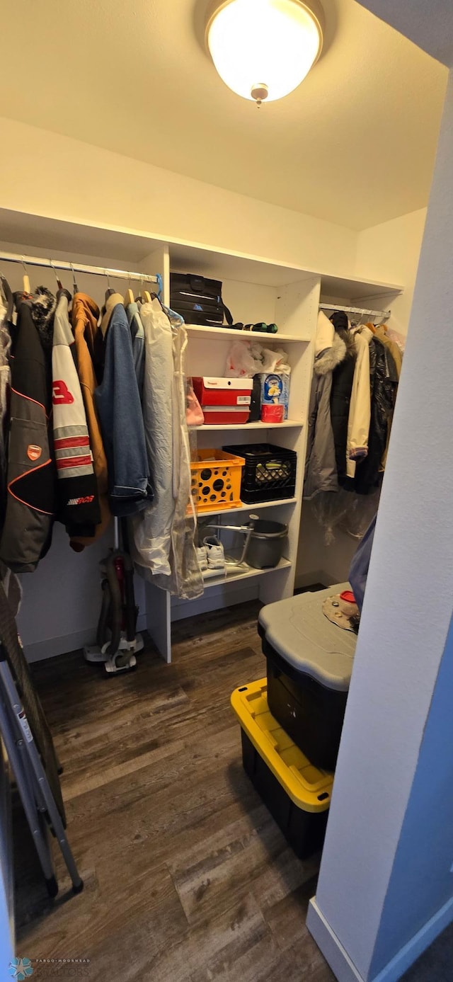 304 1st Ave E, Halstad, MN 56548 - spacious closet featuring wood finished floors