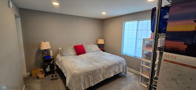 304 1st Ave E, Halstad, MN 56548 - bedroom featuring carpet, baseboards, and recessed lighting
