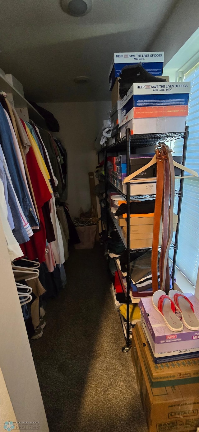 304 1st Ave E, Halstad, MN 56548 - walk in closet with carpet