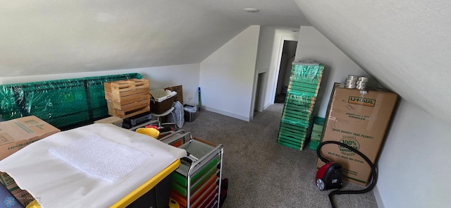 304 1st Ave E, Halstad, MN 56548 - bedroom featuring carpet, lofted ceiling, and baseboards
