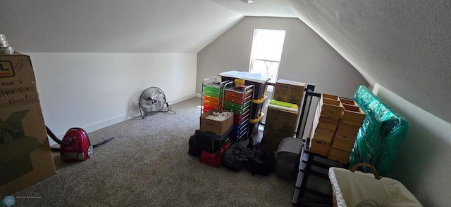 304 1st Ave E, Halstad, MN 56548 - bonus room with carpet and vaulted ceiling