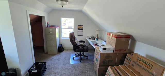 304 1st Ave E, Halstad, MN 56548 - carpeted office space featuring lofted ceiling