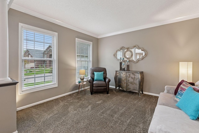13148 Crolly Ct, Rosemount, MN 55068 - living area with carpet flooring, a textured ceiling, baseboards, and crown molding