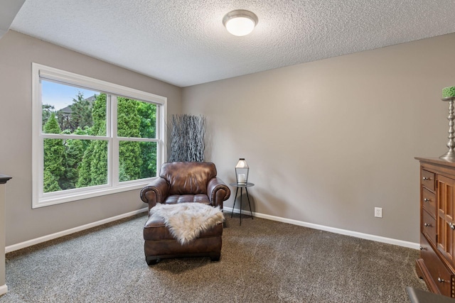 13148 Crolly Ct, Rosemount, MN 55068 - sitting room with a textured ceiling, carpet, and baseboards