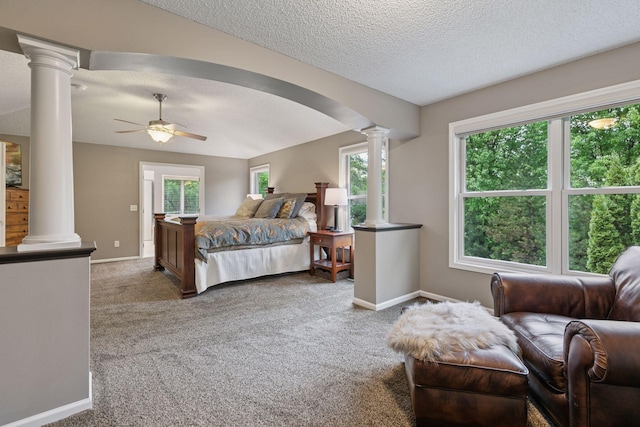 13148 Crolly Ct, Rosemount, MN 55068 - bedroom with decorative columns, multiple windows, carpet flooring, a textured ceiling, and baseboards