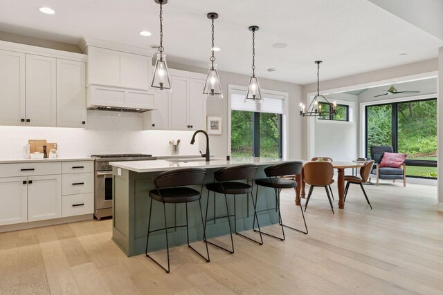 16798 Stirrup Ln, Eden Prairie, MN 55347 - kitchen with high end stove, a sink, custom range hood, light wood-style floors, and decorative backsplash