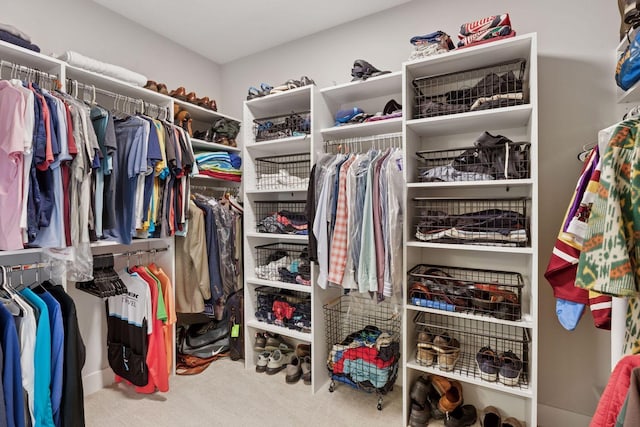 16798 Stirrup Ln, Eden Prairie, MN 55347 - walk in closet featuring carpet floors