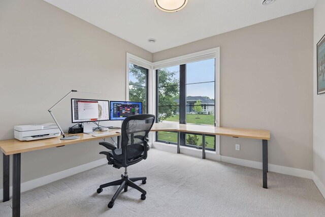 16798 Stirrup Ln, Eden Prairie, MN 55347 - home office with carpet floors and baseboards