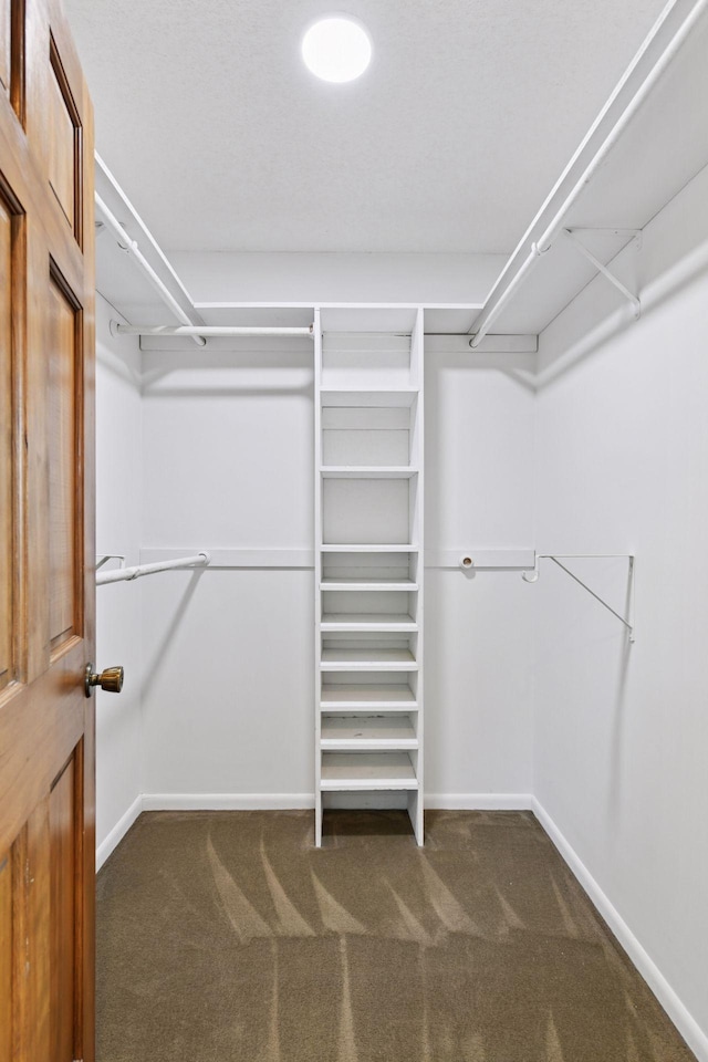 7010 Tartan Curv, Eden Prairie, MN 55346 - walk in closet with dark colored carpet