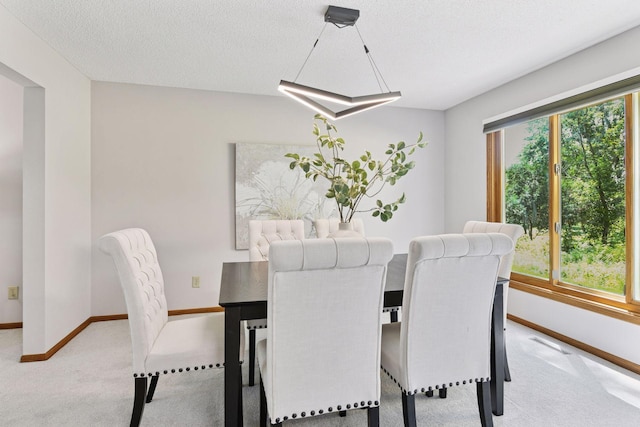 7010 Tartan Curv, Eden Prairie, MN 55346 - dining room featuring plenty of natural light, light carpet, and a textured ceiling