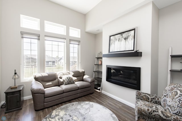 3313 5th Way E Unit B, West Fargo, ND 58078 - living area featuring plenty of natural light, a glass covered fireplace, baseboards, and wood finished floors