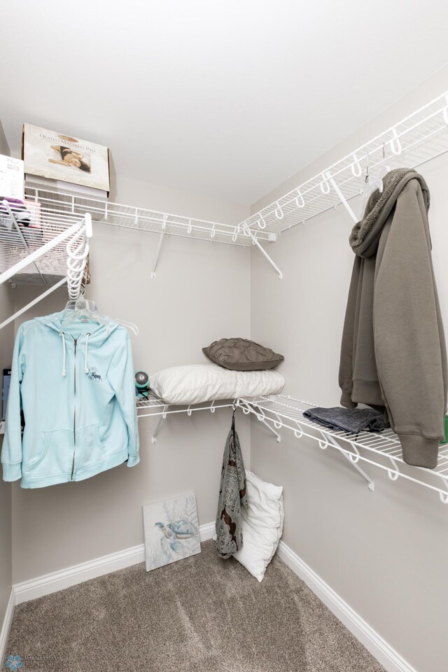 3313 5th Way E Unit B, West Fargo, ND 58078 - walk in closet featuring carpet floors