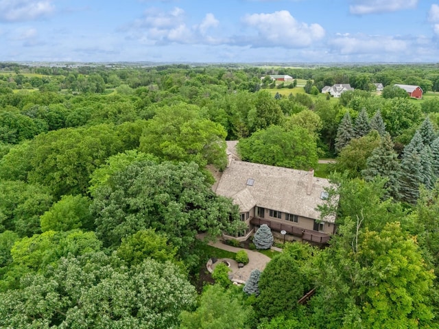 10420 Bluff Cir, Chaska, MN 55318 - photo 66
