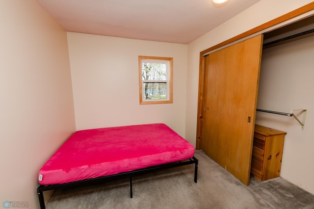 20841AND20850 Leona Beach Rd, Erie Twp, MN 56578 - bedroom featuring carpet and a closet