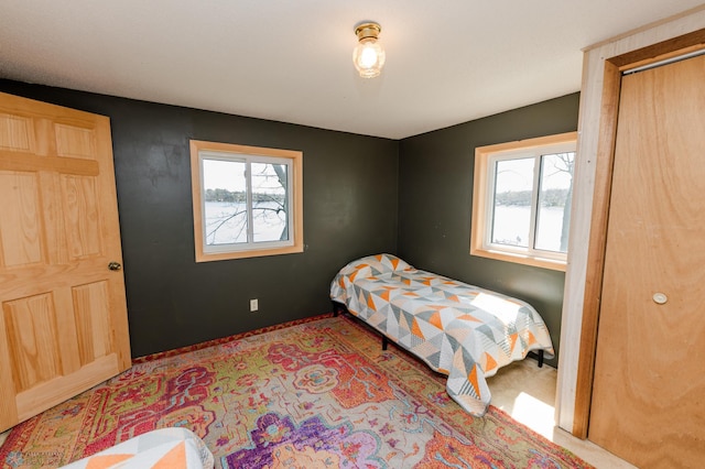20841AND20850 Leona Beach Rd, Erie Twp, MN 56578 - view of carpeted bedroom