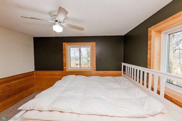20841AND20850 Leona Beach Rd, Erie Twp, MN 56578 - bedroom featuring a ceiling fan