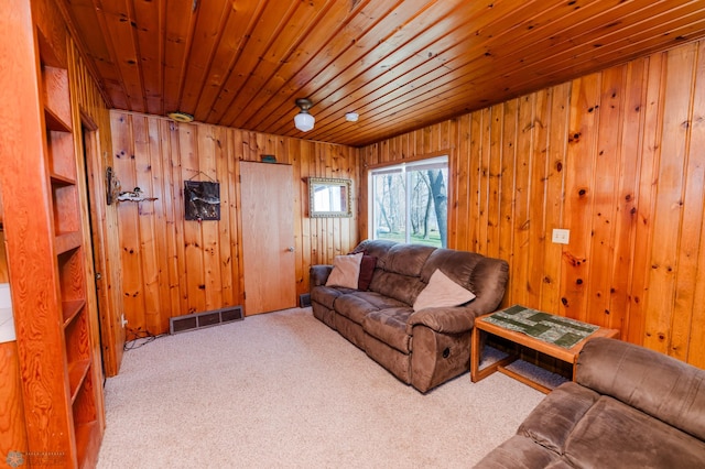 20841AND20850 Leona Beach Rd, Erie Twp, MN 56578 - carpeted living room featuring wood ceiling and wood walls