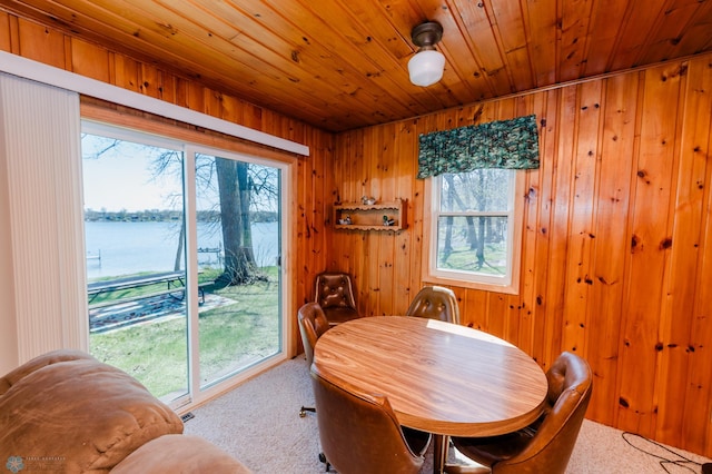 20841AND20850 Leona Beach Rd, Erie Twp, MN 56578 - dining space with carpet floors, a water view, wooden ceiling, and wooden walls