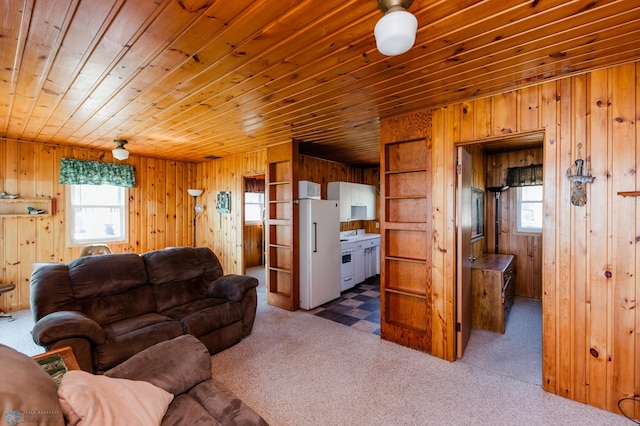 20841AND20850 Leona Beach Rd, Erie Twp, MN 56578 - living room featuring carpet, wooden walls, and wooden ceiling