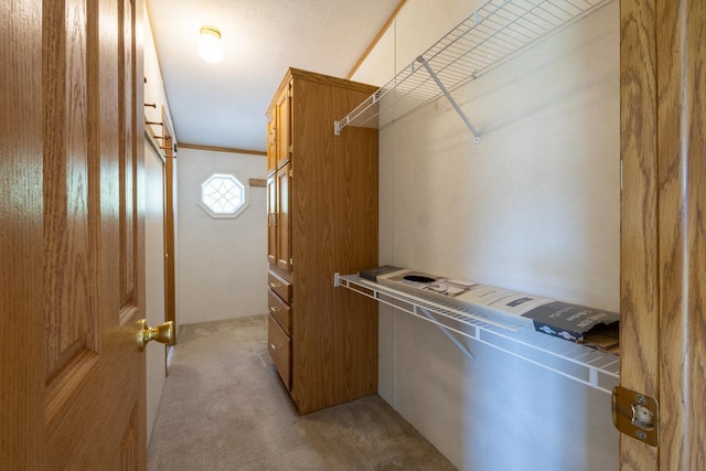 36308 Edgewood Rd, Harmony, MN 55939 - spacious closet featuring light colored carpet