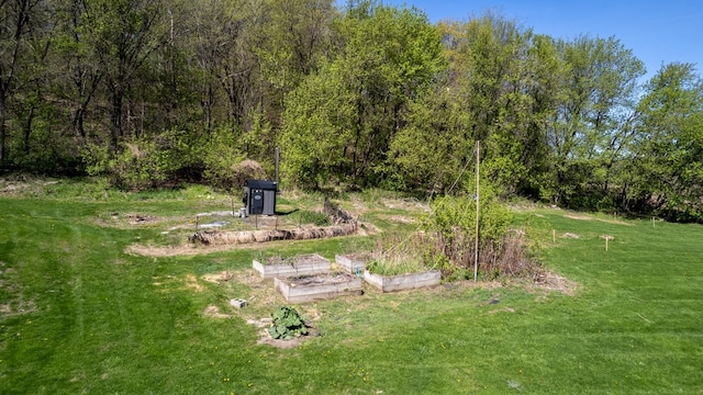 36308 Edgewood Rd, Harmony, MN 55939 - view of grassy yard featuring a garden