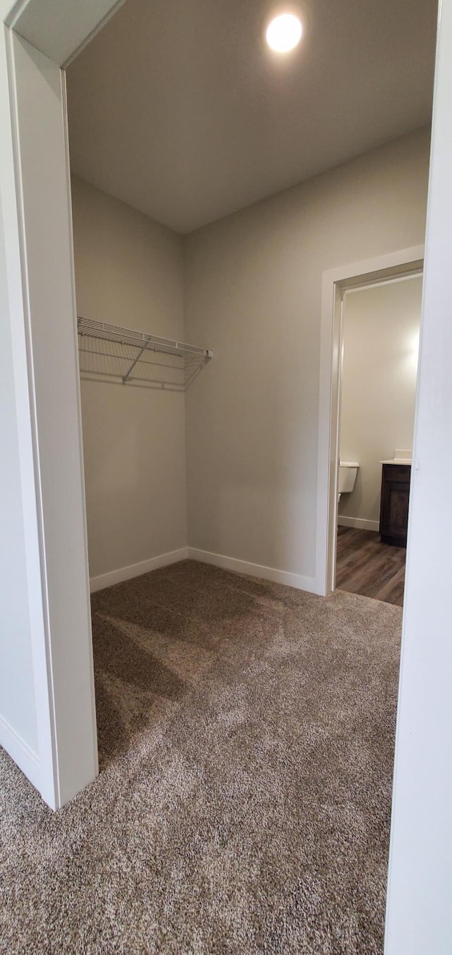 715 Lake Shore Dr NE Unit 207, Bemidji, MN 56601 - spacious closet with carpet floors