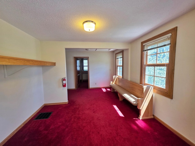 642 6th Ave, Calumet, MN 55716 - hallway with carpet floors, baseboards, and a textured ceiling