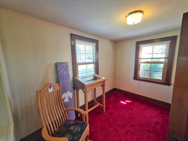 642 6th Ave, Calumet, MN 55716 - sitting room with carpet, a textured ceiling, and baseboards