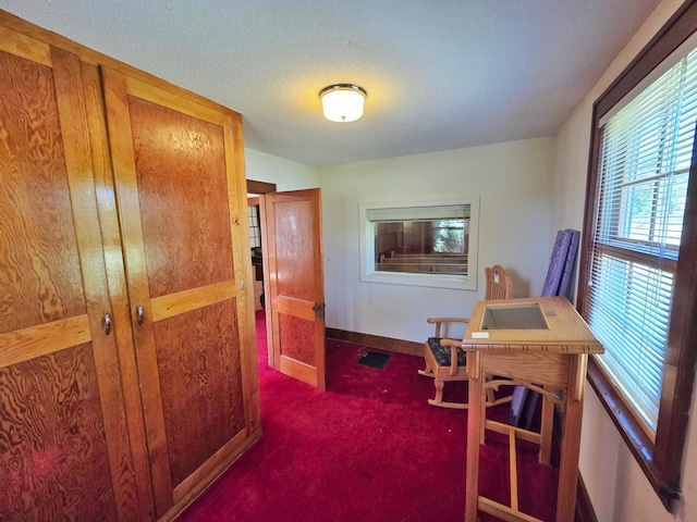 642 6th Ave, Calumet, MN 55716 - hallway with carpet floors, baseboards, and a textured ceiling