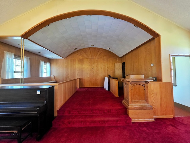 642 6th Ave, Calumet, MN 55716 - bar with lofted ceiling, carpet floors, and wooden walls
