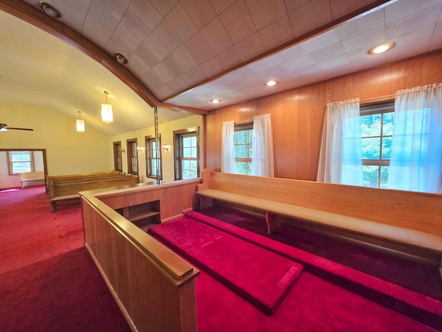 642 6th Ave, Calumet, MN 55716 - misc room featuring vaulted ceiling, plenty of natural light, and dark colored carpet