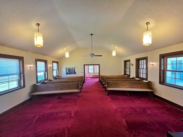 642 6th Ave, Calumet, MN 55716 - miscellaneous room featuring carpet, vaulted ceiling, baseboards, and a textured ceiling
