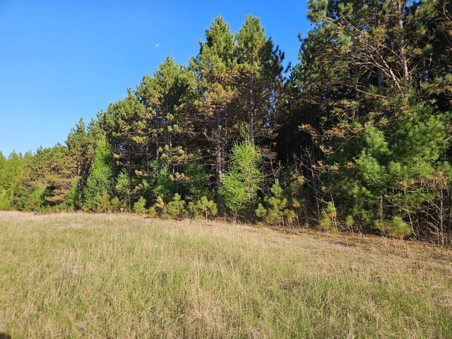 0 990th Ave, Colfax, WI 54730 - photo 1