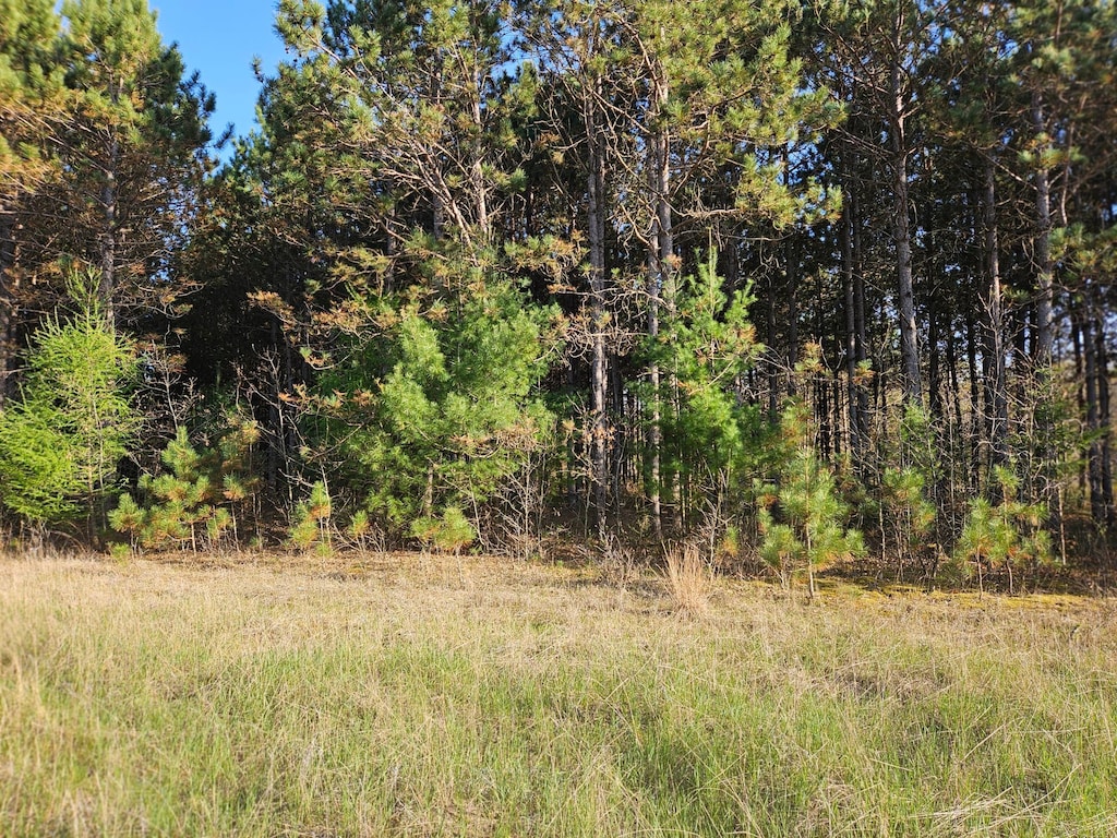 0 990th Ave, Colfax, WI 54730 - photo 2
