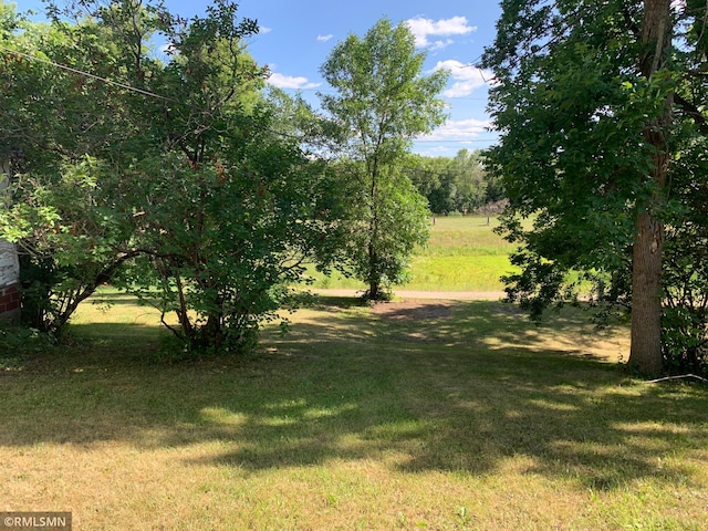 view of grassy yard