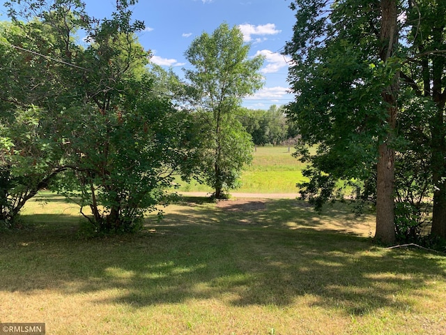 view of grassy yard