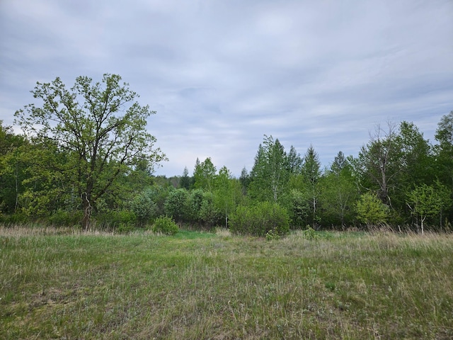 TBD Pillager Creek Trl SW, Sylvan Twp, MN 56473