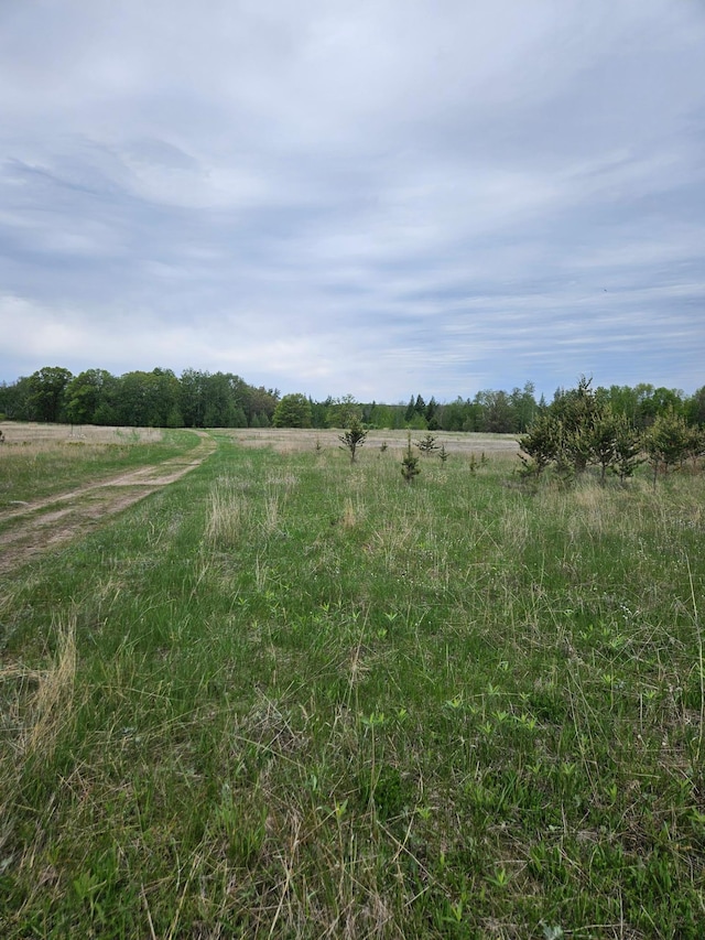 TBD Pillager Creek Trl SW, Sylvan Twp, MN 56473