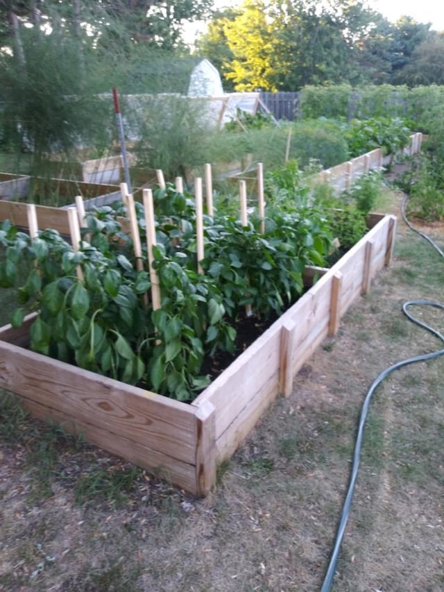1377 Parkview Dr, New Richmond, WI 54017 - view of yard featuring a vegetable garden
