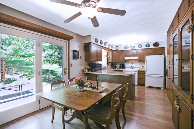 26163 170th St, New Richland, MN 56072 - dining area with plenty of natural light, light wood-style flooring, and ceiling fan