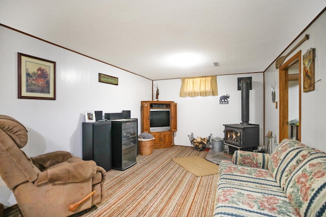 26163 170th St, New Richland, MN 56072 - carpeted living area with a wood stove
