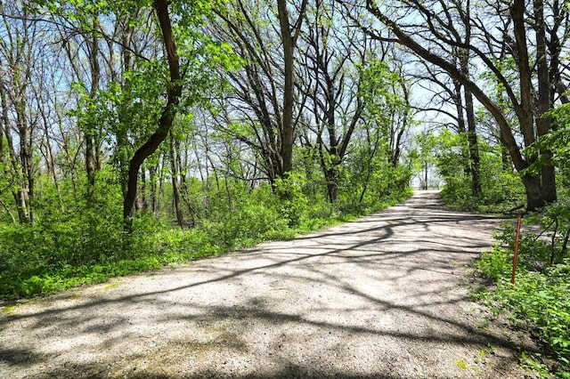 26163 170th St, New Richland, MN 56072 - view of street
