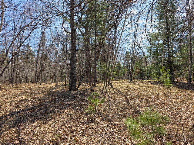 28811 County Road H, Scott Twp, WI 54830 - photo 34