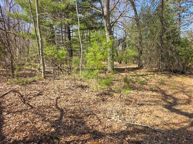 28811 County Road H, Scott Twp, WI 54830 - photo 35