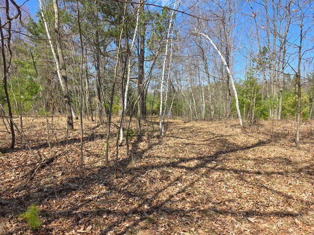 28811 County Road H, Scott Twp, WI 54830 - photo 37