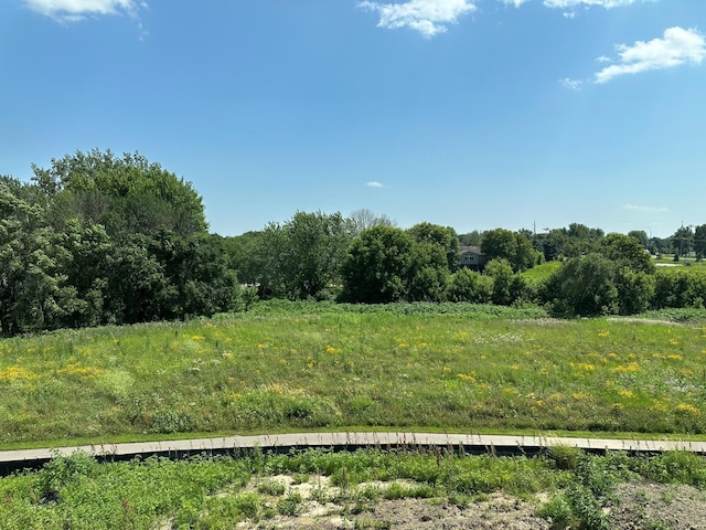 205 Snowdrop Trl, Waconia, MN 55387 - view of local wilderness